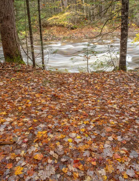 Rio Pemigewasset Eastside Trail Floresta Nacional Montanha Branca New Hampshire Fotos De Bancos De Imagens