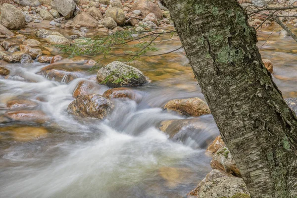 Saco River Maggie Run Trail Crawford Notch New Hampshire Лицензионные Стоковые Изображения