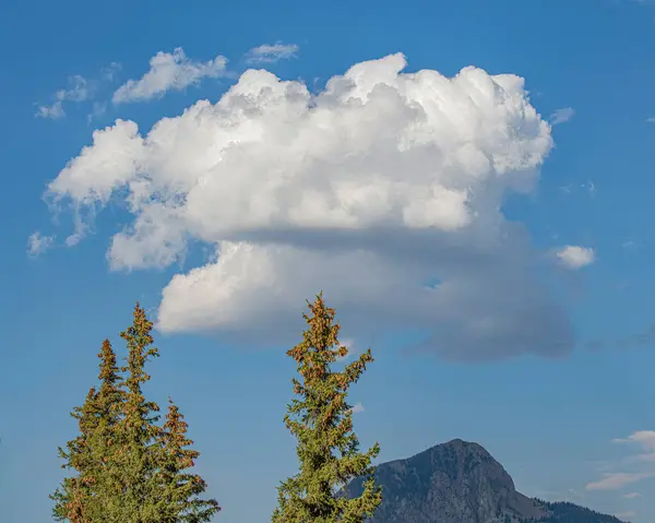 Cumulus bulutu güneybatı Colorado 'daki Weminuche Wilderness' ın üzerinde. 