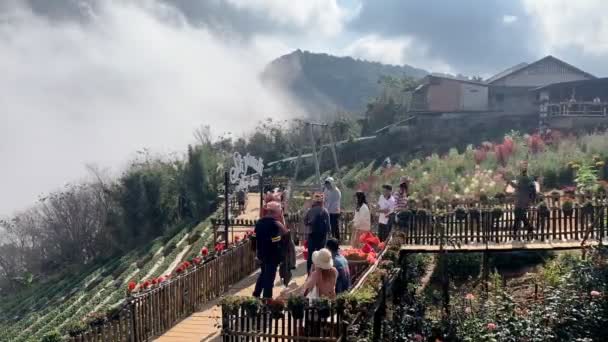 Chiang Mai December Time Lapse Unidentified Tourists Visit Take Photo — Video Stock