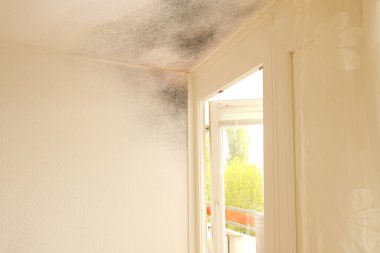 corner of room, dilapidated walls and wet ceiling, gray mold on plaster, concept destruction of buildings from dampness, neighbors flooded roof leaks, Low Income Neighborhoods, emergency housing