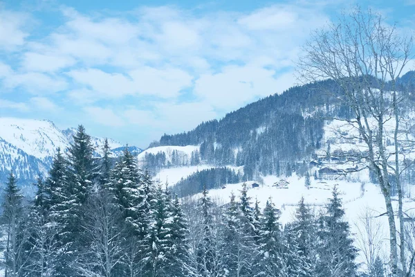 Красивый Зимний Пейзаж Заснеженные Пушистые Ели Снегопад Горах Панорама Горных — стоковое фото