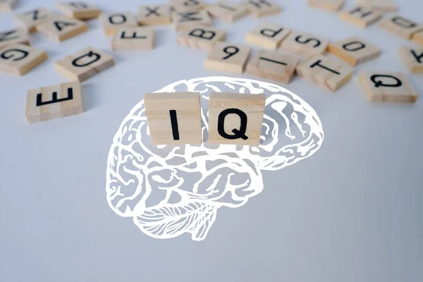 Silhouette Brain Word Wooden Letters Intelligence Quotient Wooden Background Quantitative — Stock Photo, Image