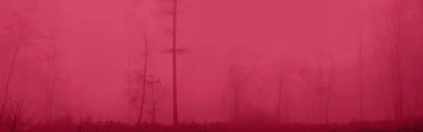 Panoramische Verschwommene Blaue Landschaft Viva Magenta Wald Heißrosa Nebel Kahle — Stockfoto