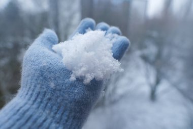 Eldivenli kadın eller pofuduk beyaz kar tanelerini, ağaçları ve arka planda kış şehirlerini, dalları, beyaz karları, hava tahminlerini, karları, mevsim değişimlerini yakalar.