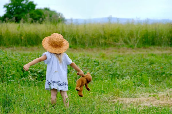 little child 3 years old, girl in straw hat, in blue dress in green field, teddy bear in hand, concept of happy childhood in village, life insurance, enjoyment of pristine nature, breathe fresh air