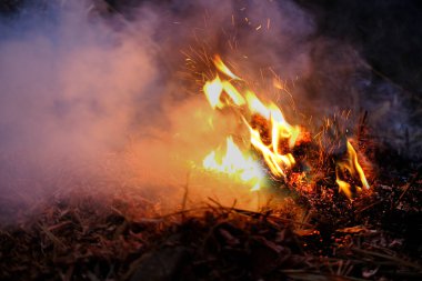 Wildfire, bushfire, wildland, rural fire unplanned, uncontrolled and unpredictable fire in area combustible vegetation, danger setting fire, harming nature, uncontrolled burning, spontaneous spread