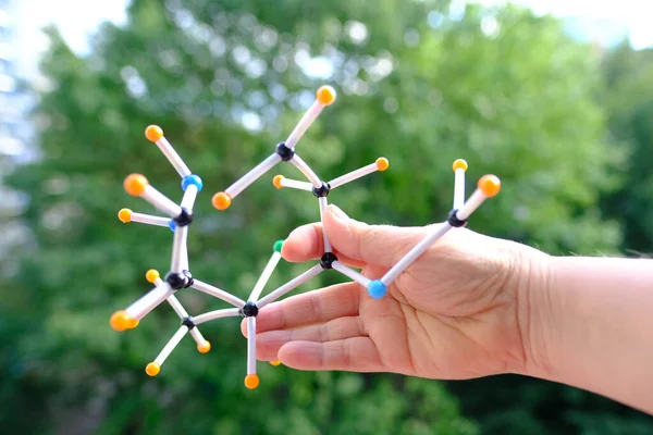 stock image close-up of female scientist's hands holding of molecules and atoms in compound on nature background, study human genome, concept chemical and physical properties of substances, scientific innovation