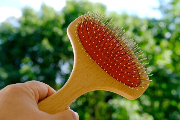Wide Wooden White Comb Brush Metal Teeth Longitudinal Transverse Combing — Foto de Stock