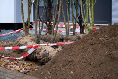 Kökleri bahçedeki eve ekilmeye hazır çeşitli fidanlar, yığınlar, bereketli toprak, artan çiftçi mahsulü, inşaat ve bahçe işleri alanlarının iyileştirilmesi için