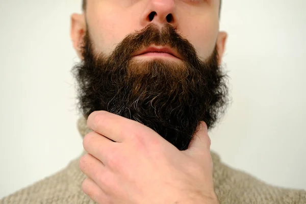 部分男性面部特写 年轻的胡子男子 30岁的男人用手抚摩浓密的胡子 胡子和胡子护肤产品的概念 面部下部的发线卫生 — 图库照片