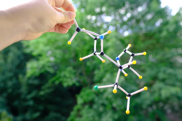 Close Female Scientist Hands Holding Molecules Atoms Compound Nature Background — Stock Photo, Image