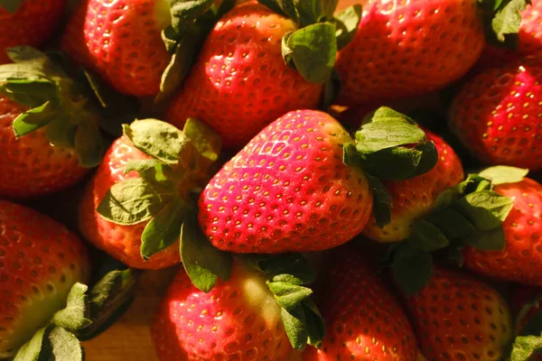 Appetitlich Reife Rote Frische Erdbeeren Fragaria Auf Holzbrett Beleuchtete Sonnenstrahlen — Stockfoto