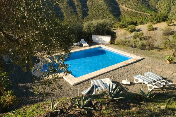 rectangular pool with blue water among olive groves and agave, sun loungers for relaxation, beautiful top view Mediterranean landscape with green leaves on branches, concept travel, vacation season