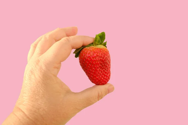 Frische Erdbeeren Frisches Vitaminobst Weiblicher Hand Isoliertes Objekt Auf Rosa — Stockfoto
