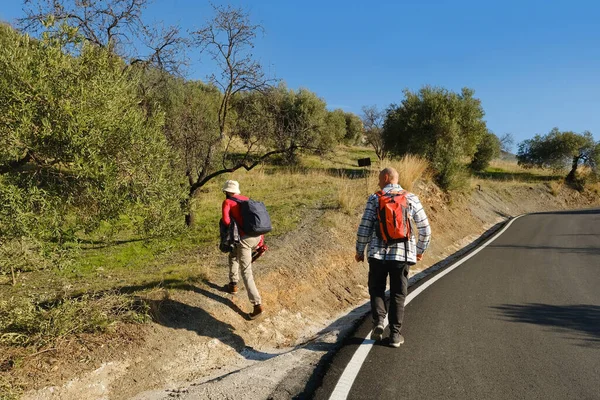 Два Человека Рюкзаками Туристы Прогуливаясь Дороге Великолепными Природными Пейзажами Походы — стоковое фото