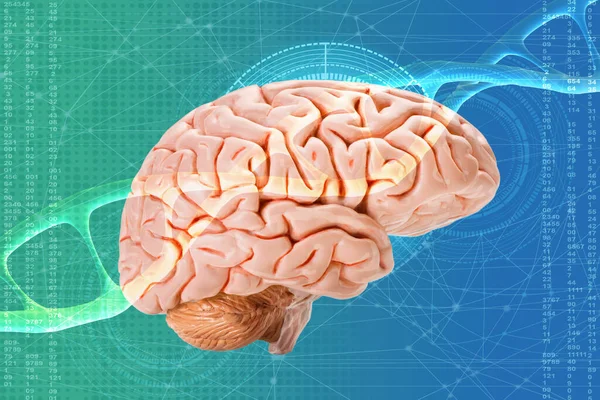 Cerebro Humano Estructura Adn Con Hélice Vidrio Pantalla Virtual Fondo — Foto de Stock