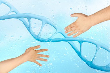 İki el, DNA yapısı sarmal, deoksiribonükleik asit, nükleik asit molekülleri, insan genom araştırma yöntemi, geliştirme bilimi, sinirsel bağlantıların bozulması, kromozom değişimi, 3 boyutlu işleme
