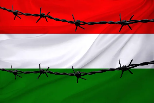 Nemzeti Zászló Magyarország Texturált Háttér Sorok Szögesdrót Koncepció Háború Forradalom — Stock Fotó