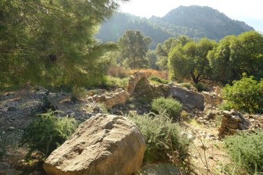 Kireçtaşı uçurumları El Chorro vadisi, Endülüs dağlarını, İspanya 'yı, ünlü bölgeyi, ağaçları, çalıları, popüler kaya tırmanışlarını, doğal dağ beldelerini, gezinti rezervlerini, Caminito del Rey Turunu,
