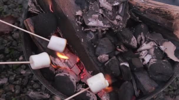 Brennendes Feuer Kompaktgrill Holzscheite Verschlungen Rote Flammen Großaufnahme Des Metallgrills — Stockvideo
