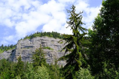 manzaralı dağ, Fransa 'daki dağ sırası, Graian Alpleri, yazın Mont Blanc' ın güzel doğal manzarası yeşil ağaçlar, takım desteği, ekstrem spor konsepti, yürüyüş, tırmanma, doğayı kurtarma