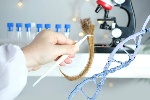 stock image laboratory assistant examines a hair sample, curls in a package for research by genetic research in laboratory, trichologist conducts test, concept of DNA analysis, establishing paternity