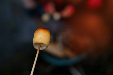 Küçük ızgarada yanan ateş, kırmızı alevler içinde kalan odun kütükleri, ateşte kızaran marşmelovlara yakın çekim, duman yükselişi, eğlence partisi konsepti, mutlu çocukluk, aile aktivitesi, açık havada yemek pişirme hassasiyeti.