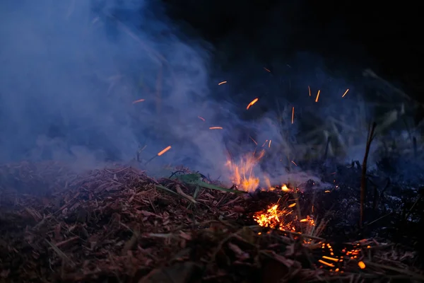 Burning Conflagration Burning Ash Charred Dry Grass Forest Acrid Gray — 图库照片