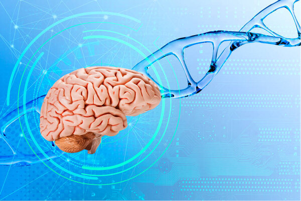 human brain on DNA helix background, deoxyribonucleic acid, nucleic acid molecules, human genome research method, development science, regulation interneuronal contacts, microdamages in DNA neurons