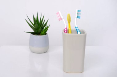 Bardaktaki diş fırçalarının yakın plan çekimi, kapalı alan çiçeği günlük rutin kavramı, ağız temizliği, aile ilişkilerinin sembolü.