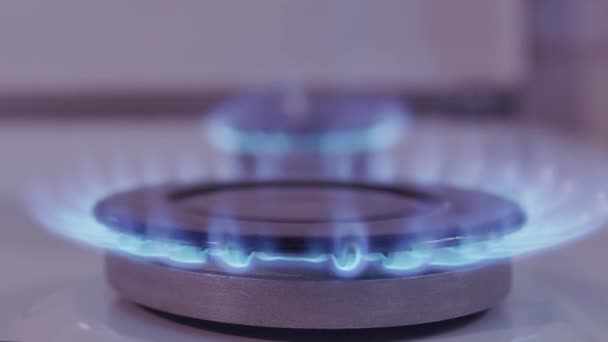 Gas Stove Fire Close Side View Flame Natural Gas Home — Vídeo de stock