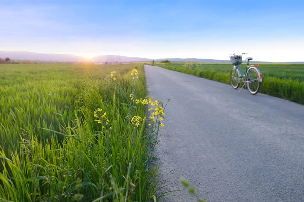 아름다운 자전거를 태양이 내리쬐는 겨울밀을 재배하는 곡물식을 재배하는 성장하는 환경적 — 스톡 사진