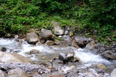 Güçlü temiz su akıntısı dağ nehri boyunca hızla akar, taşlardan saçılır, vahşi doğa kavramı, doğal kaynakların sembolü, alternatif enerji, su sporları