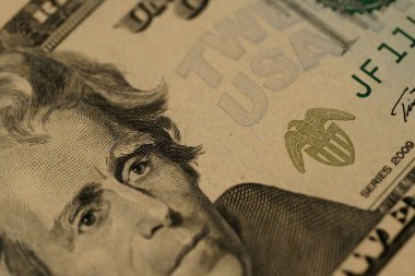 Yakın plan kağıt para banknotları 20 Amerikan doları, tasarruflar, bankacılık, vergi ödemeleri, ekonomik işbirliği, gerçek para sorunları ve para dolaşımı sorunları, tatil için tasarruf, nakit para
