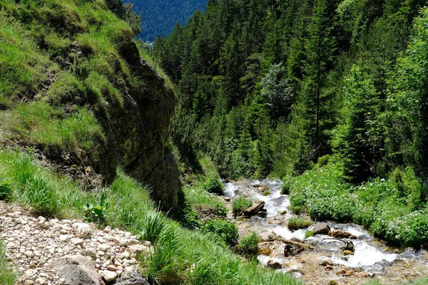 Καταρράκτη Ισχυρό Ρεύμα Του Ποταμού Που Ρέει Από Grain Alps — Φωτογραφία Αρχείου