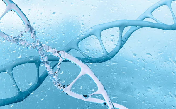 ヒトのDna構造らせん 脱オキシリボ核酸 分子化合物 ヒトゲノム 概念科学化学イノベーション ヒトゲノム研究 開発科学 染色体変化 3Dレンダリング — ストック写真