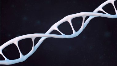 Beyaz insan DNA yapısı sarmalları, deoksiribonükleik asit, nükleik asit molekülleri, insan genom araştırma yöntemi, geliştirme bilimi, bilgi, kromozom değişimi, 3D oluşturma, kopyalama alanı