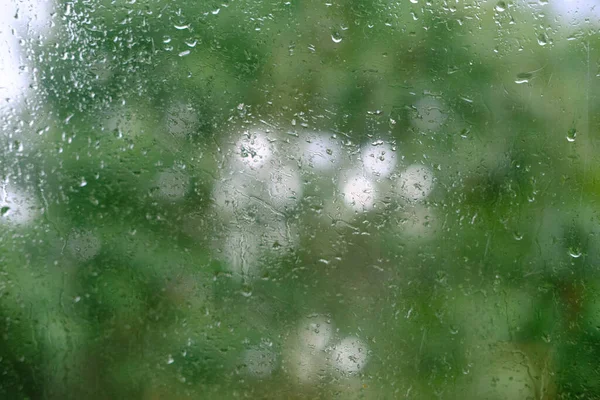 stock image summer rain outside window, green foliage of trees out focus, texture glass of background with water drops, place for text, horizontal banner with blurry bokeh, nature protection, Severe Weather