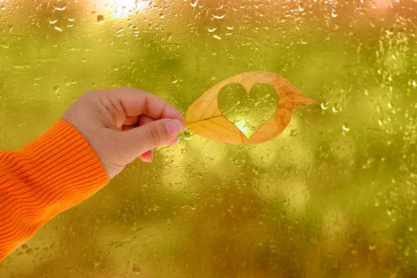 Herbstregen Vor Dem Fenster Orangefarbenes Laub Der Bäume Unscharf Glashintergrund — Stockfoto