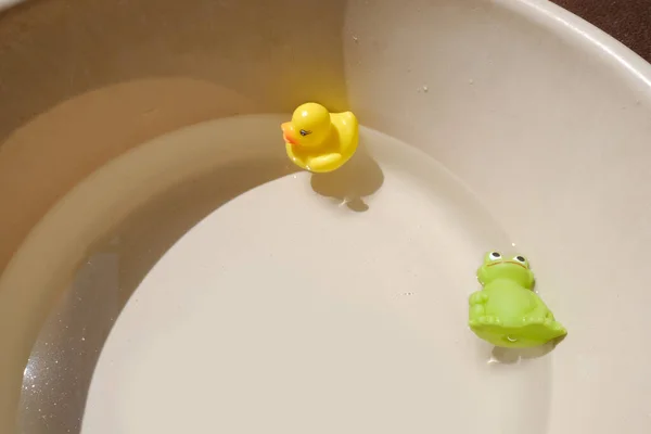 rubber yellow duck, green frog for swimming, toys colored in basin with hard light, concept happy childhood, developing activity, playing with water, summer fun, healthy lifestyle