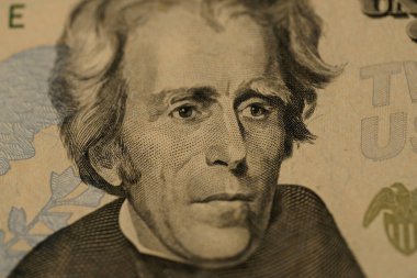 Yakın plan kağıt para banknotları 20 Amerikan doları, tasarruflar, bankacılık, vergi ödemeleri, ekonomik işbirliği, gerçek para sorunları ve para dolaşımı sorunları, tatil için tasarruf, nakit para