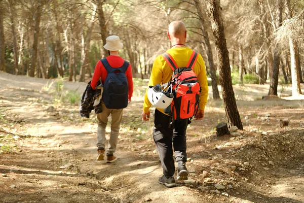 Два Человека Рюкзаками Туристы Прогуливаясь Дороге Великолепными Природными Пейзажами Походы — стоковое фото