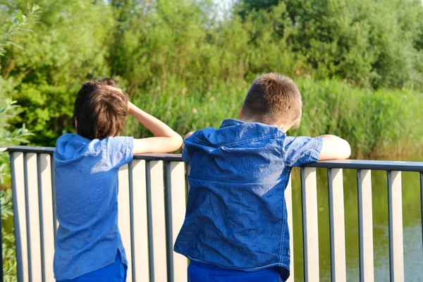 Chłopcy Dzieci Studiują Przyrodę Podziwiają Jezioro Dzieci Zachwycone Spokojnym Jeziorem — Zdjęcie stockowe