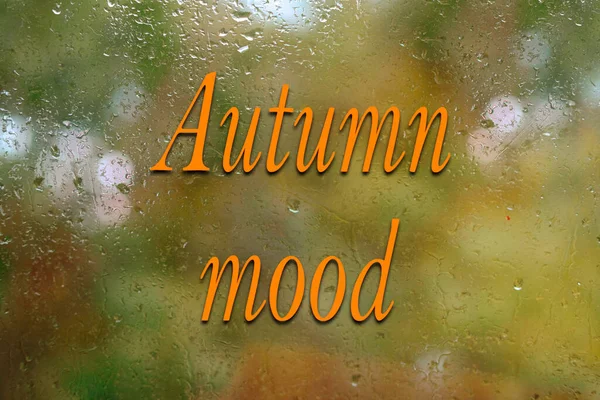 Podzimní Déšť Mimo Okno Oranžové Listoví Stromů Rozostřeno Textura Skleněného — Stock fotografie