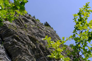 Bir grup dağcı kayaya tırmanıyor, aktif yaşam tarzı, dağcılık, yazın Alp dağlarında ferrata, ekstrem sporlarda hayat sigortası, takım desteği, aşırı spor