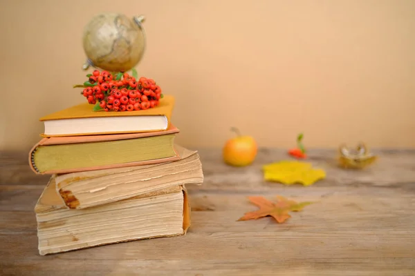 Jesienna Kompozycja Rustykalnym Drewnianym Stole Ogrodzie Książkami Kulą Ziemską Powrót — Zdjęcie stockowe