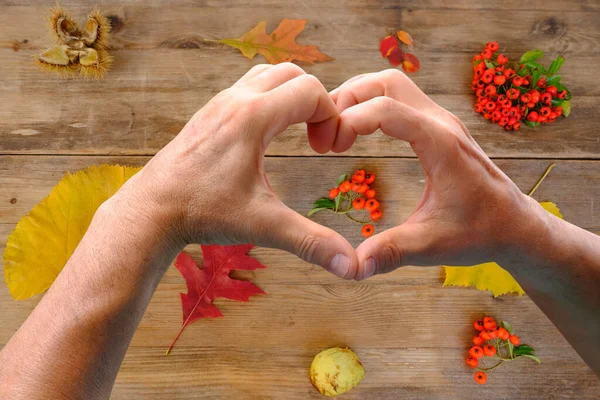 Männerhände Herzform Gefaltet Herbstkomposition Auf Rustikalem Holztisch Garten Mit Abgefallenen — Stockfoto