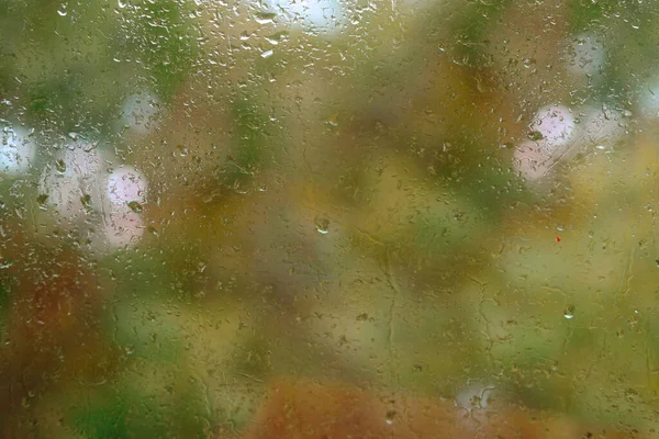 Осенний Дождь Снаружи Окна Оранжевая Листва Деревьев Вне Фокуса Текстура — стоковое фото
