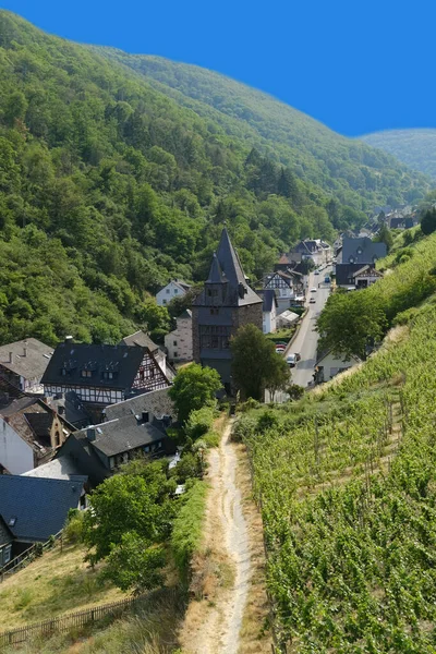 Narrow Road Gorge Old Houses Watchtowers Vineyards Middle Rhine Valley — Stock Photo, Image